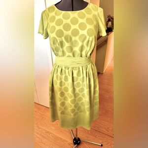 Sara Campbell Black Polka Dot Under Sheer Lime Green Fit & Flare Dress Sz 10